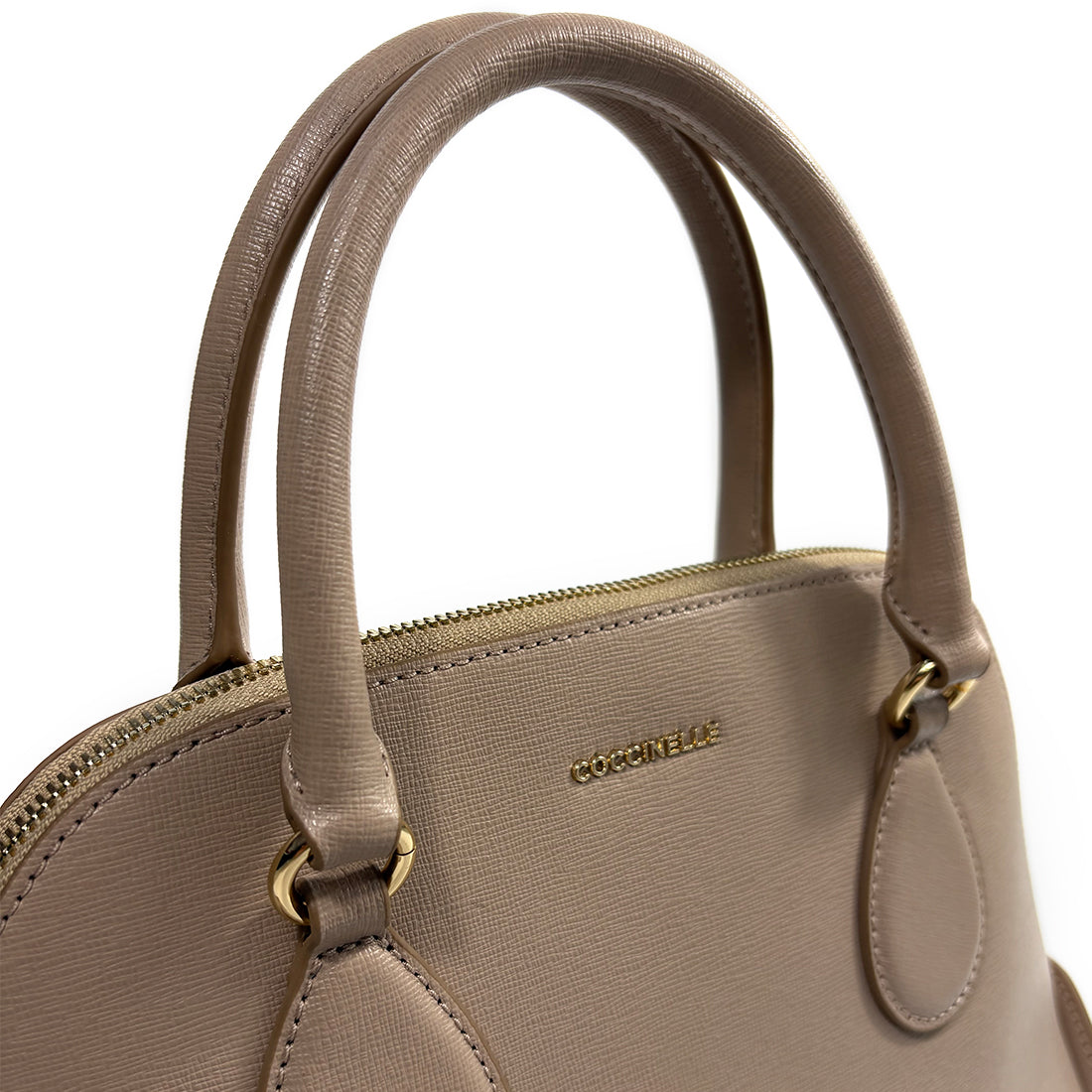 Coccinelle Florine M